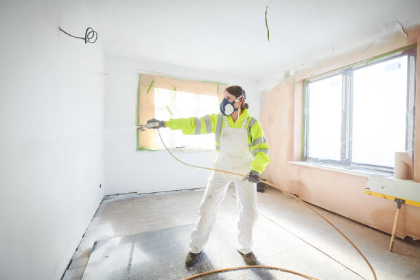 Best Mold Prevention Services  in Littlerock, CA