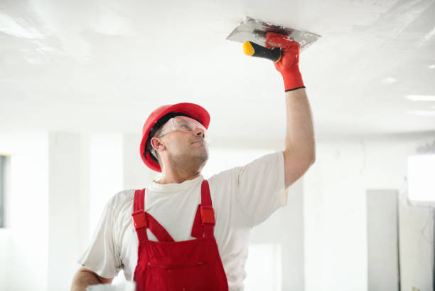 Best Airborne Mold Testing  in Littlerock, CA