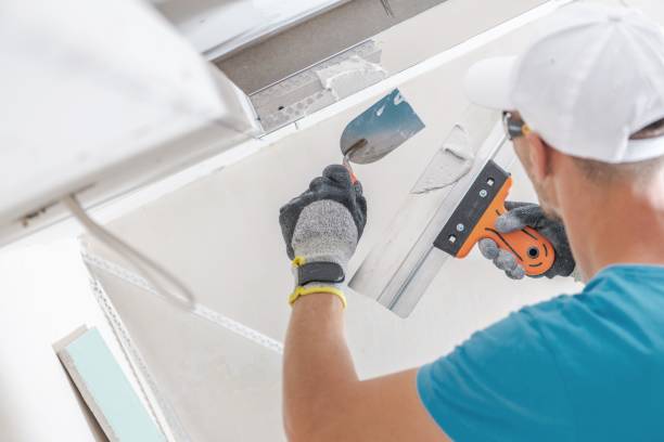 Best Comprehensive Air Testing for Mold Contaminants  in Littlerock, CA